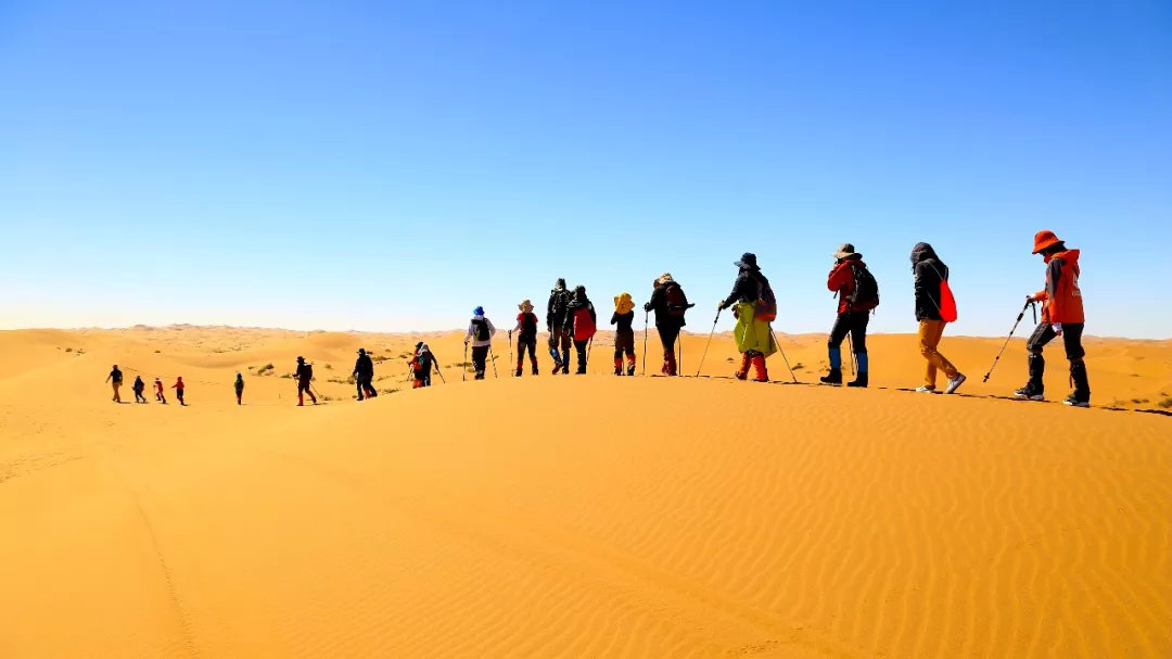 沙漠游学夏令营,儿童沙漠夏令营报名优惠