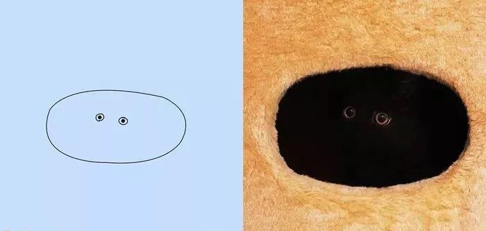 一波可爱动物简笔画,超火的简笔画动图