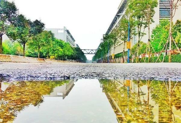 志愿填报英语专业,西安外国语大学征集志愿2023