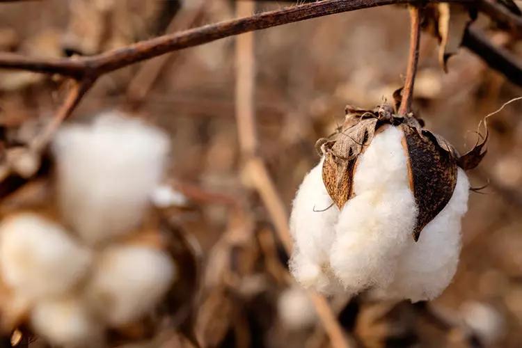 过年被单要换吗,中国的习俗过年要买新衣服吗