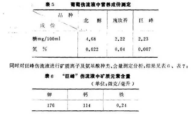 葡萄伤流止不住怎么办,葡萄伤流后怎么补救
