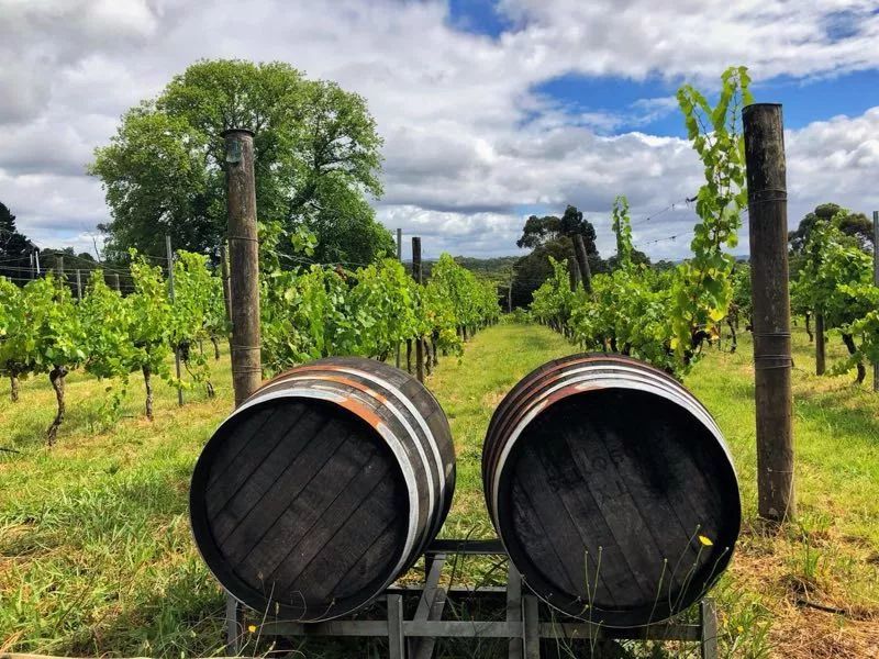 澳洲进口红酒700多,原装进口澳洲葡萄酒