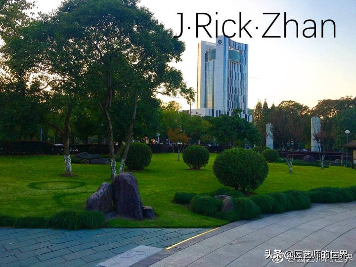 适合北方庭院种植的低矮草坪,家庭庭院怎样混搭种植草坪和蔬菜