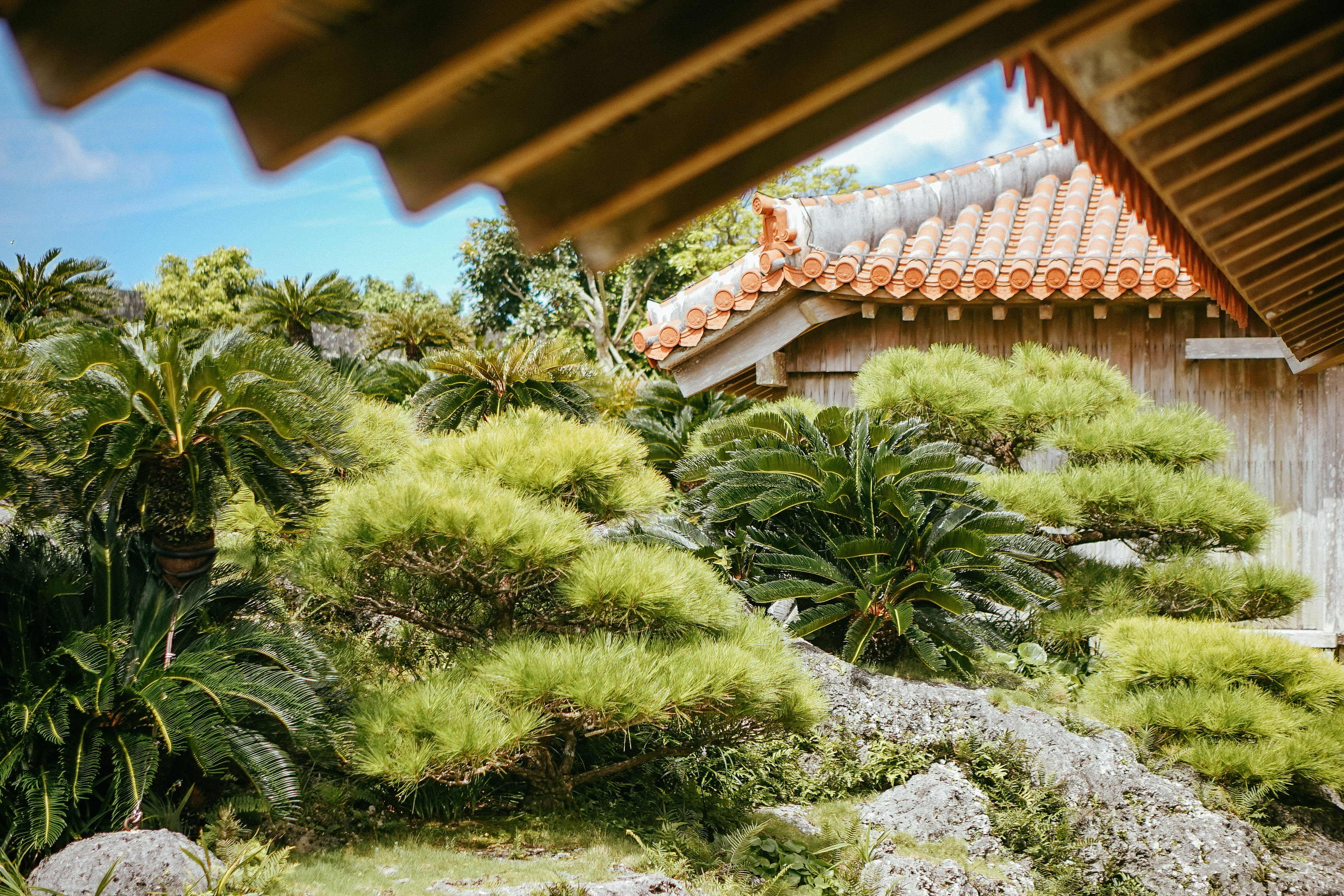 冲绳出发前准备攻略,冲绳县那霸市旅游