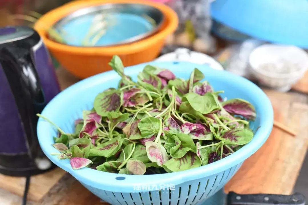 苏州十大好吃的地方排行榜,苏州是江苏第几个城市