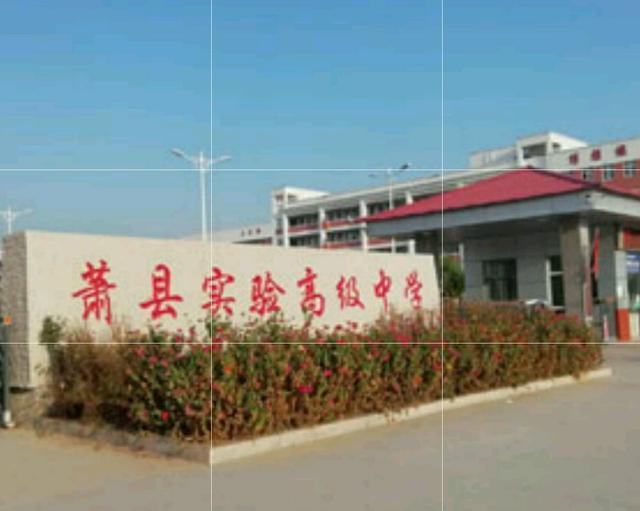 宿州各学校高考情况,2022年宿州高考学校排名