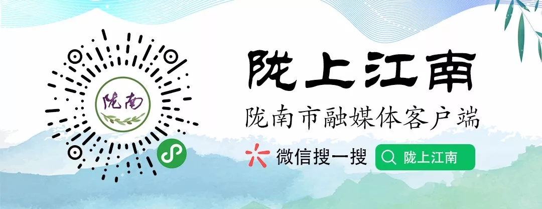 徽县疫情防控运输最新通知,徽县疫情出行最新政策