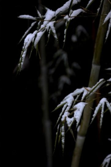 夜雪的诗词赏析,白居易夜雪诗意意思