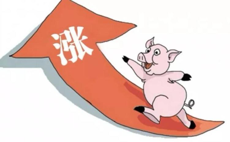 美国猪肉进口到中国为什么贵,美国猪肉出口吗