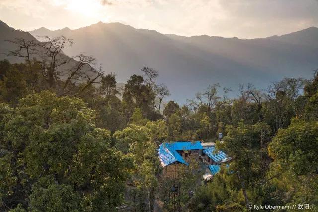 一群90后学霸，嚷嚷着要给它们找对象：自己单身不要紧