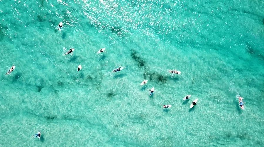 渔家女事件,渔家女海鲜视频