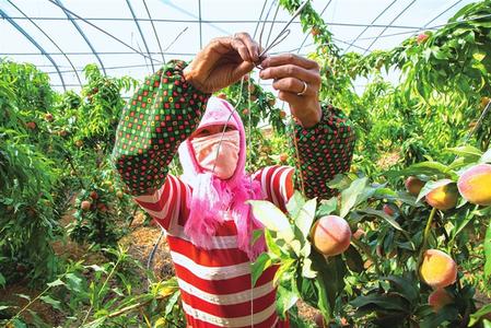 武威发展与生态文明建设,奋力谱写新时代生态文明新篇章