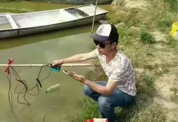 蟹塘蓝藻的原因和处理,蟹塘蓝藻处理方法