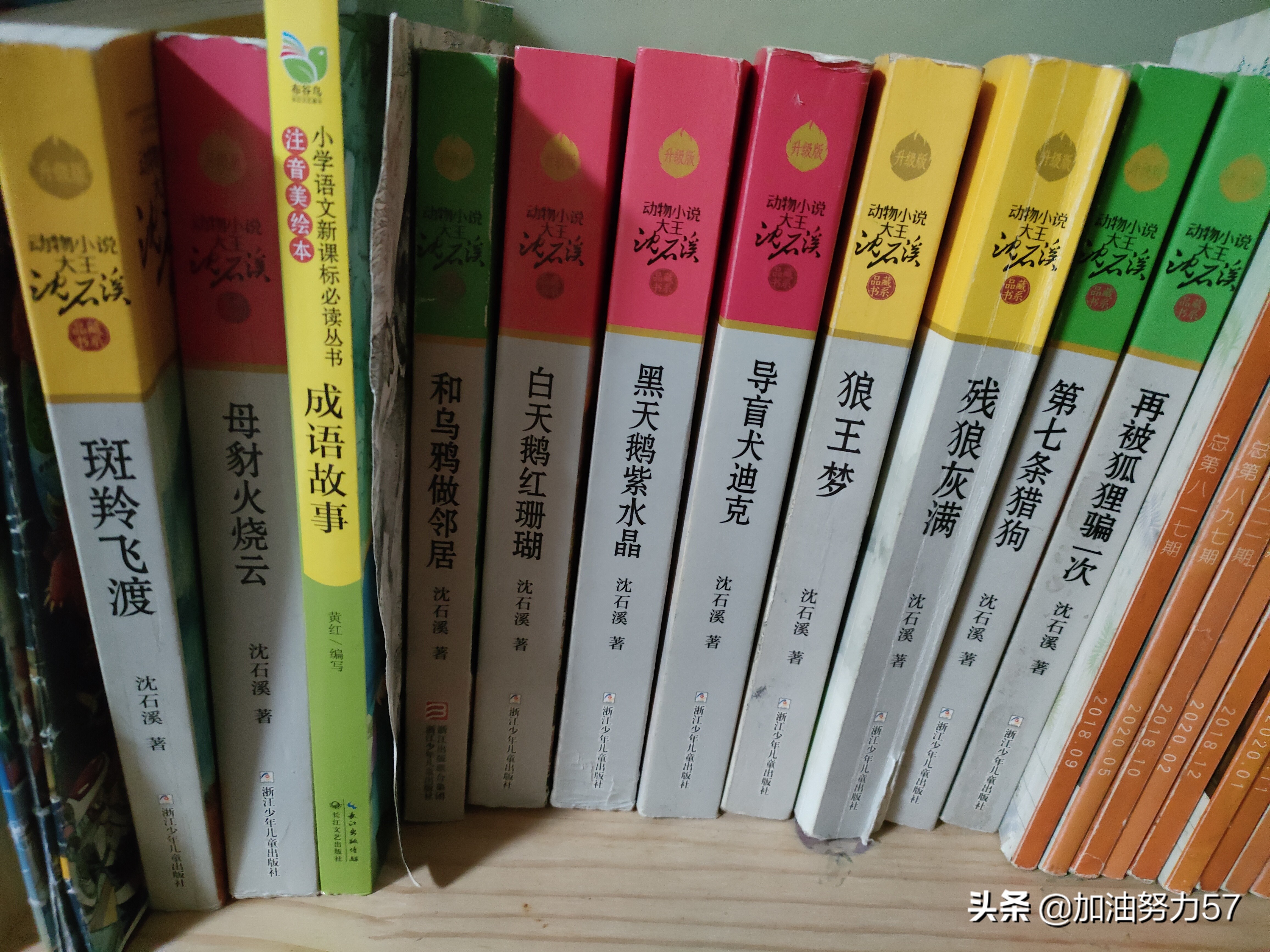 推荐一本最好的童书,优质童书推荐大全