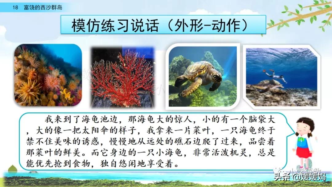 三年级第18课富饶的西沙群岛预习,3年级语文第18课富饶的西沙群岛