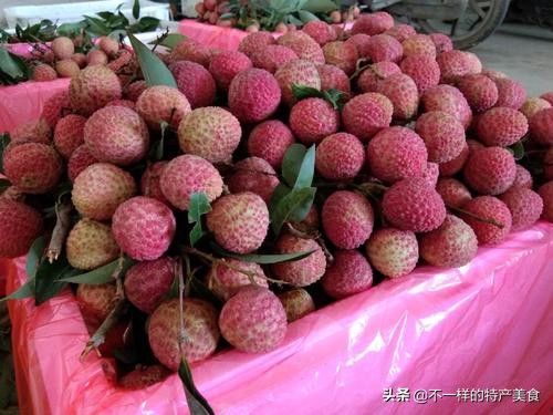 夏天必吃的5种应季水果,最适合夏天吃的应季水果