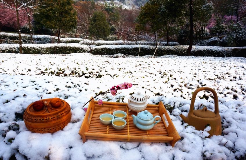 「词风雅韵」李瑾｜一剪梅二十阕