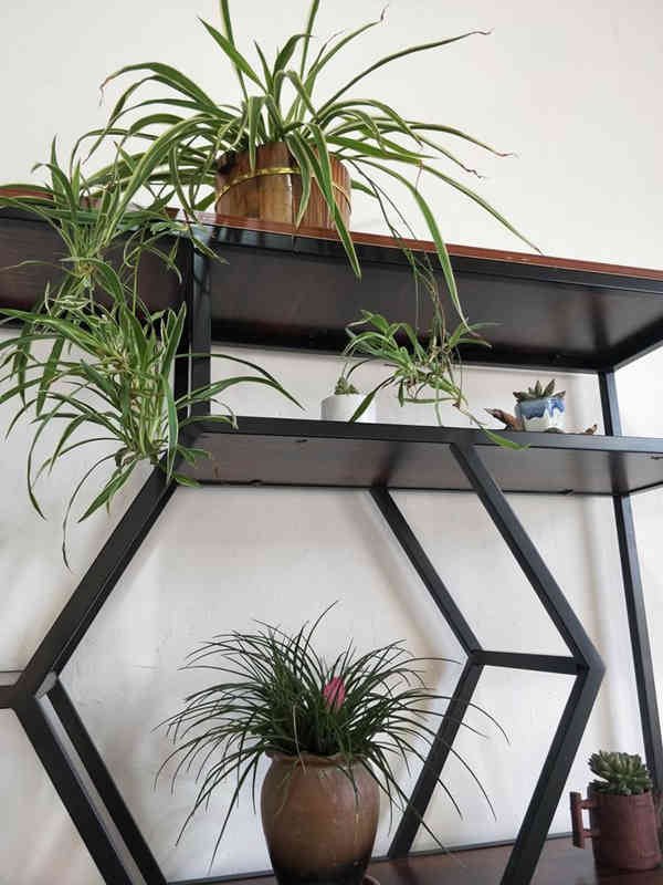 厦门银城诗社创作基地揭牌