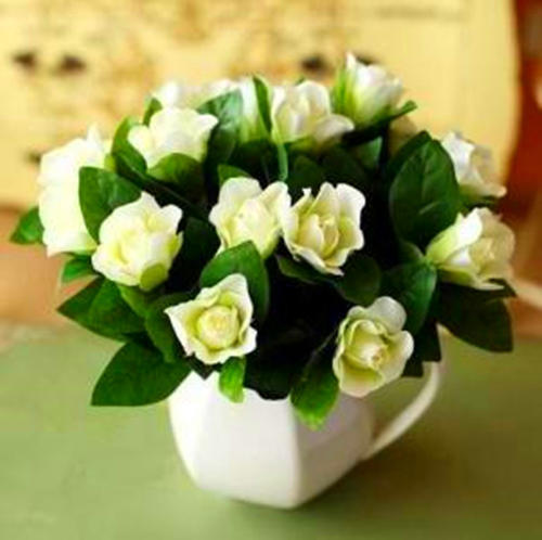 怎么养花才能使花更好,怎么样养花才可以让花活得更久