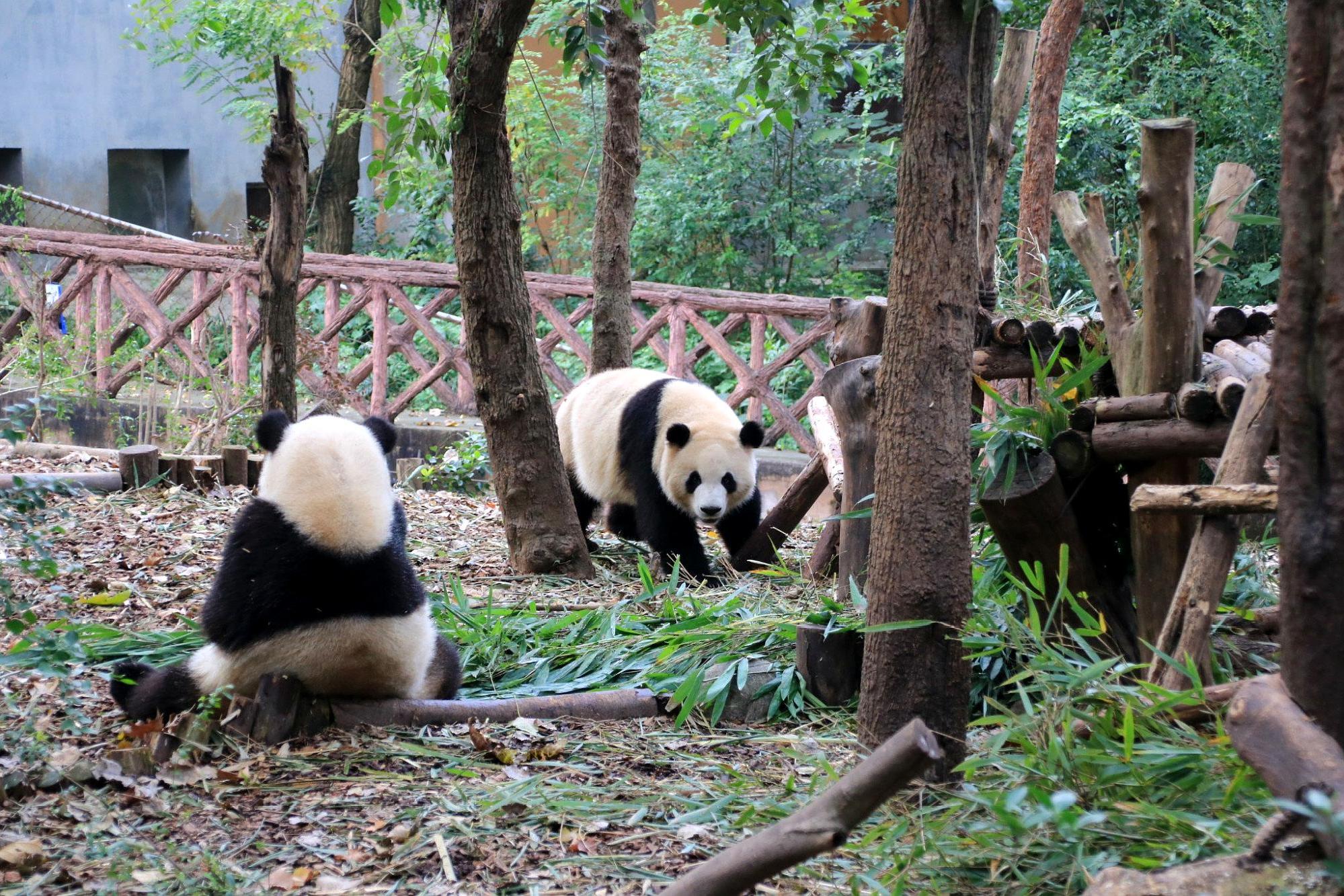 打卡网红地四川旅游胜地,四川天府新区网红打卡景点
