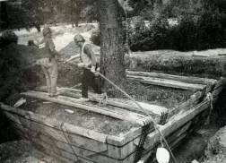 大树移植机视频大全,大树移植的正确方法