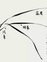 兰花的画法国画,兰花的画法步骤动画