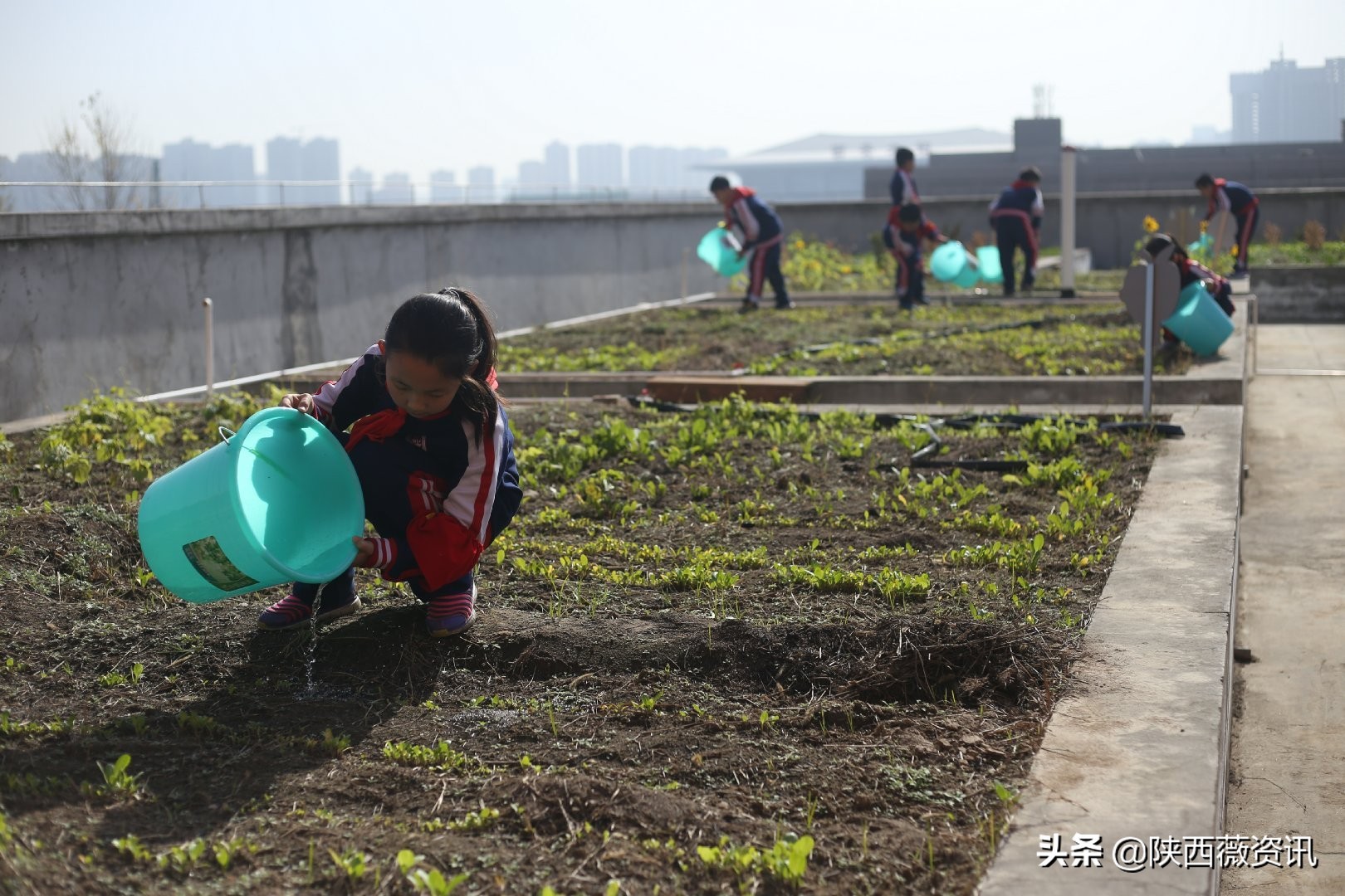 走进西安经开三小，揭秘“小豆豆”们是怎样变成“节水达人”