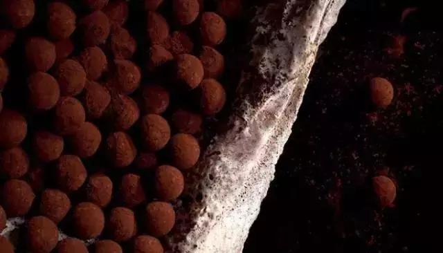 全球只有六家的巧克力店,上海高端巧克力探店