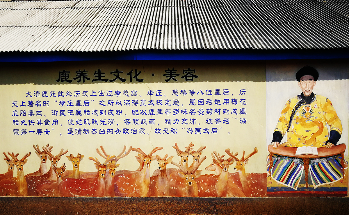 吉春制药健肝灵胶囊,吉春制药阿胶补血口服液