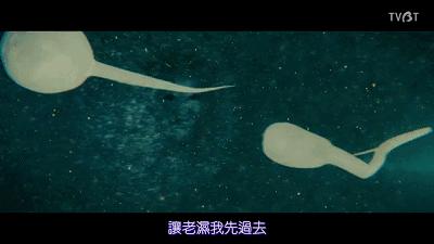 捐精一次6000块，其实优秀的你早已给你的女朋友花了一栋房子的钱