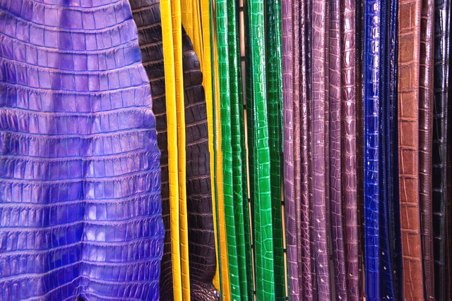 鳄鱼皮具真品图,鳄鱼皮具是真的吗