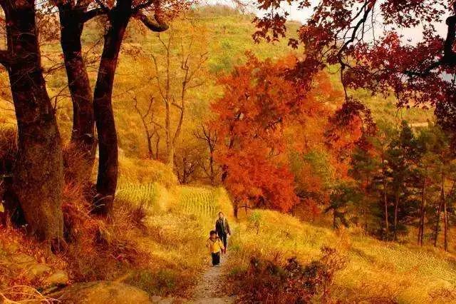 11-12月十大必去旅行地,12月高性价比的旅游地