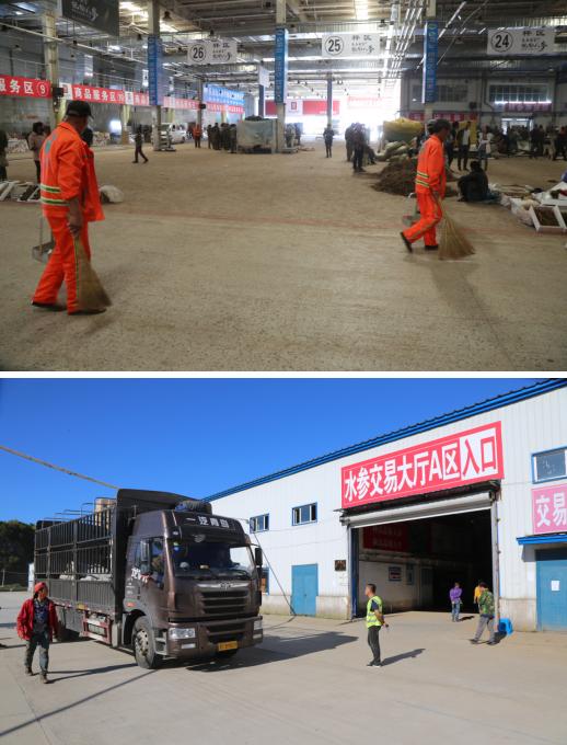 抚松万良人参交易市场价格,抚松县万良镇长白山人参市场