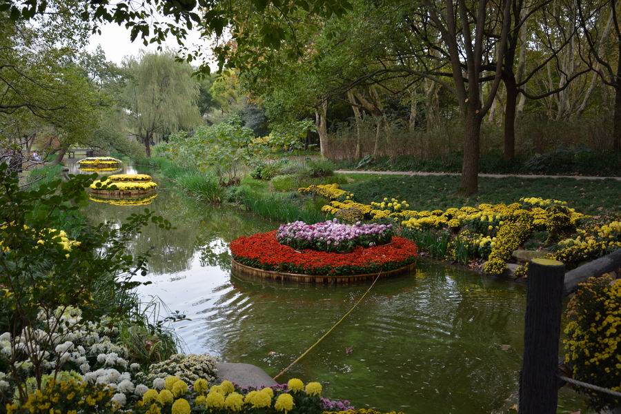 上海吴淞炮台湾湿地森林公园攻略,魔都上海共青森林公园