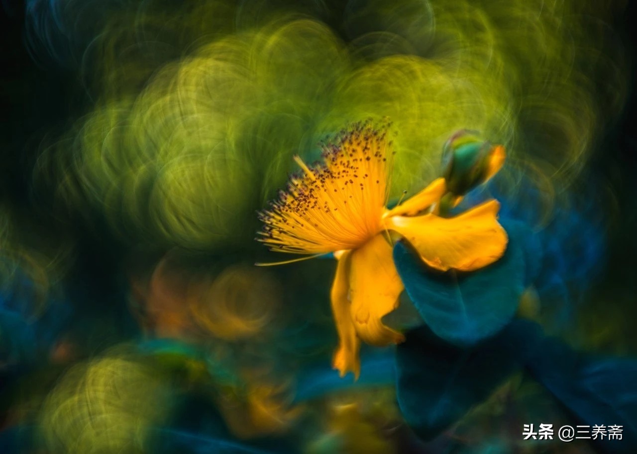 登鹳雀楼唐王之涣一年级上册古诗,登鹳雀楼唐王之涣古诗讲解