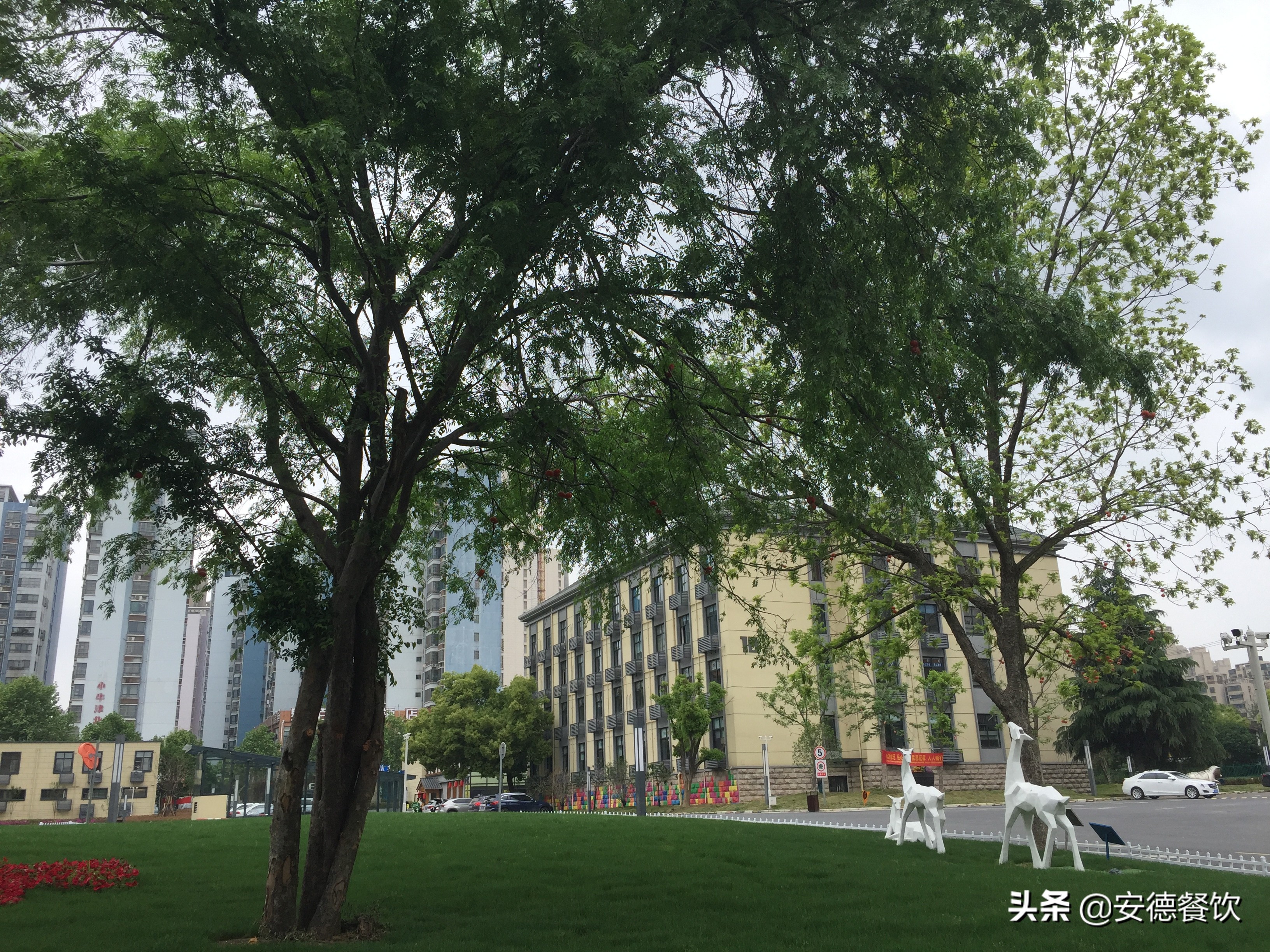 瀹夊窘鐩涙簮椁愰ギ绠＄悊鏈夐檺鍏徃,瀹夊窘瀹夊痉椁愰ギ绠＄悊鏈夐檺鍏徃