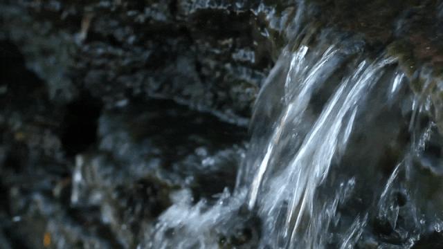 外国人说youarereallysweet,外国人说youaresosweet什么意思