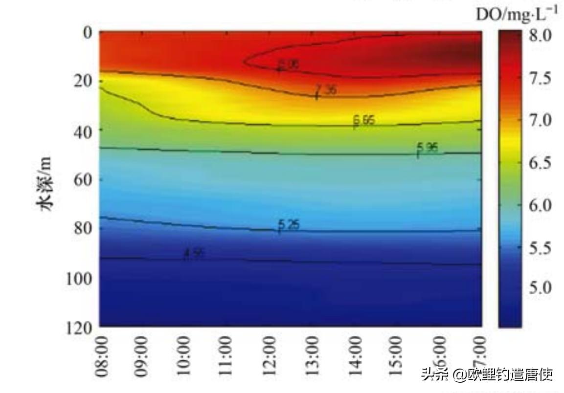 夏季下雨过后钓鱼应如何选择钓位,夏季垂钓这3个钓位上鱼超多
