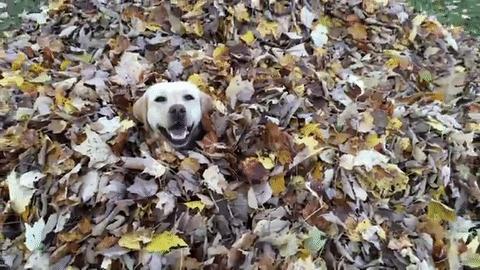 财务人员如何判断是否是假账,如何判断公司财务数据是否真实