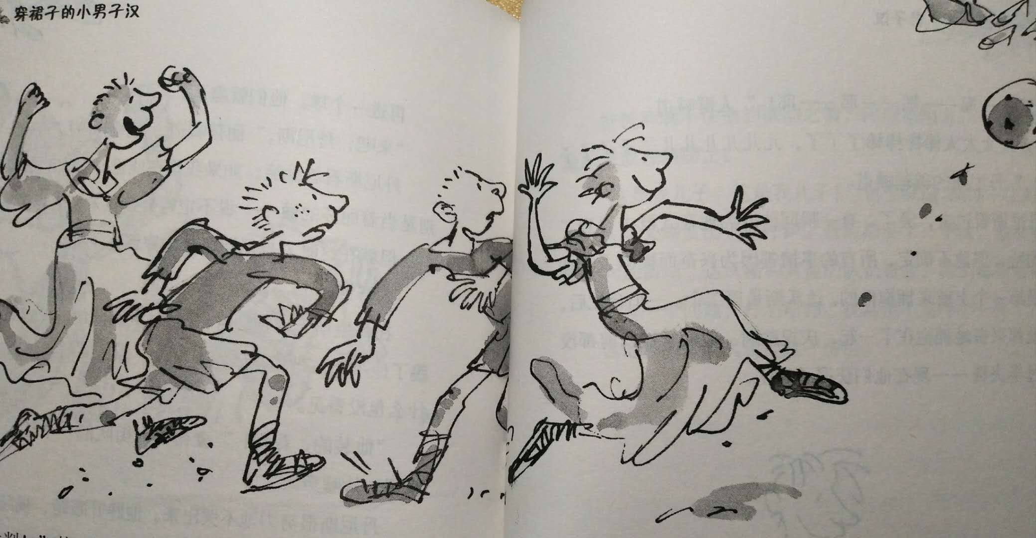 穿裙子的小男孩大全,穿裙子的小男孩主要内容