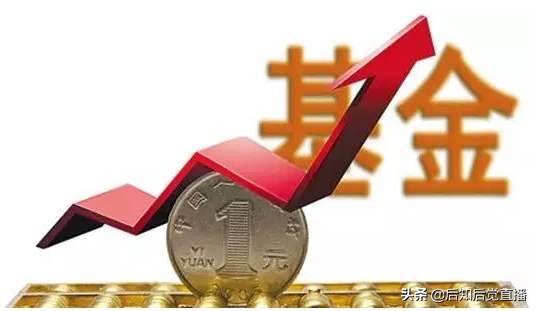 股票型基金怎样投资,股票型基金是怎么操作