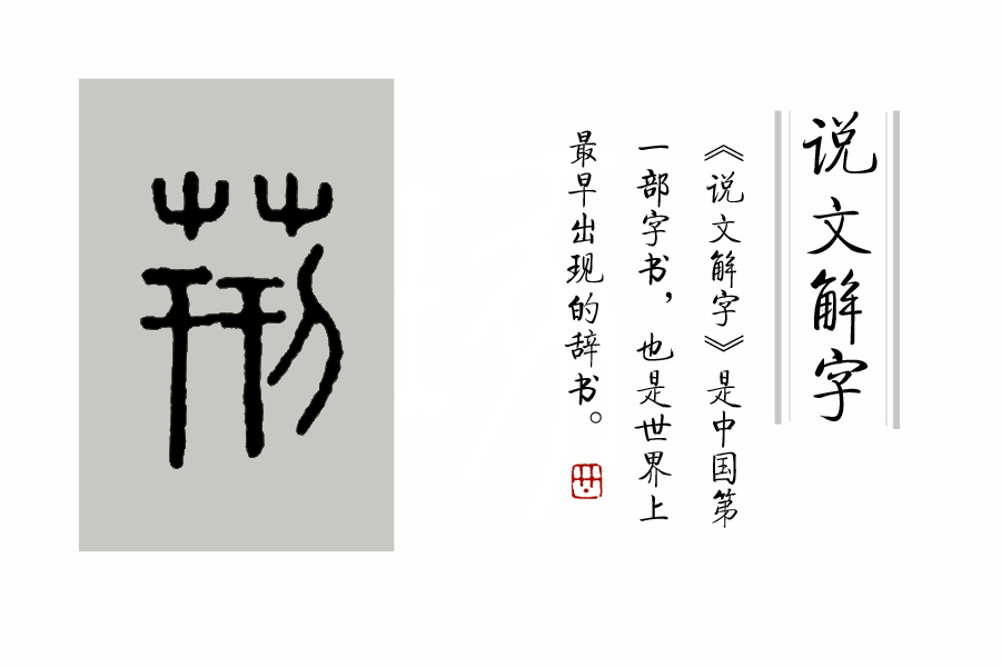 汉字说：“萌”和“芽”的区别是什么？