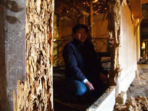 白蚁带翅膀的小飞虫怕什么,带翅膀的白蚁为什么成群爬出来