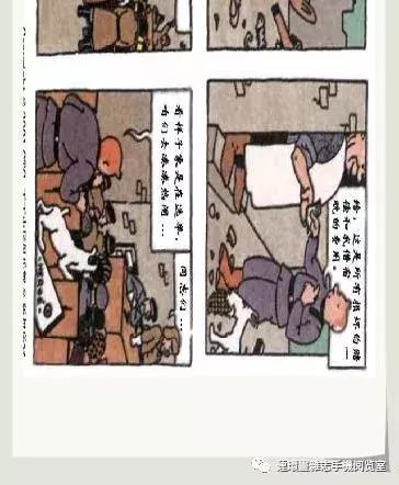 丁丁和丁丁历险记论文,丁丁历险记丁丁的服装