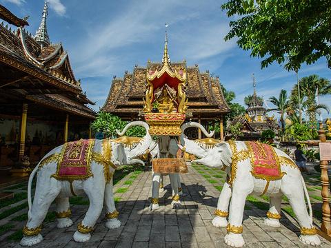 西双版纳风景之旅自由行旅游攻略,邂逅雨林西双版纳秘境之旅