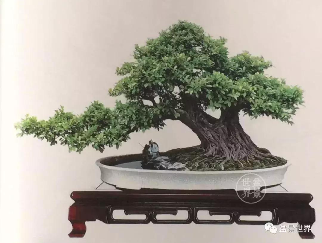 安徽黄山鲍家花园镇园之宝600万元的镇园之宝是如何炼成的？