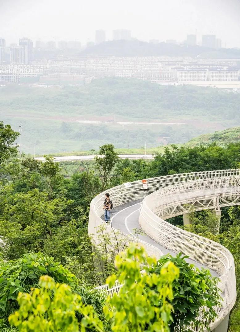 重庆55个景点免费游玩有哪些,重庆五一自驾游1天最佳路线