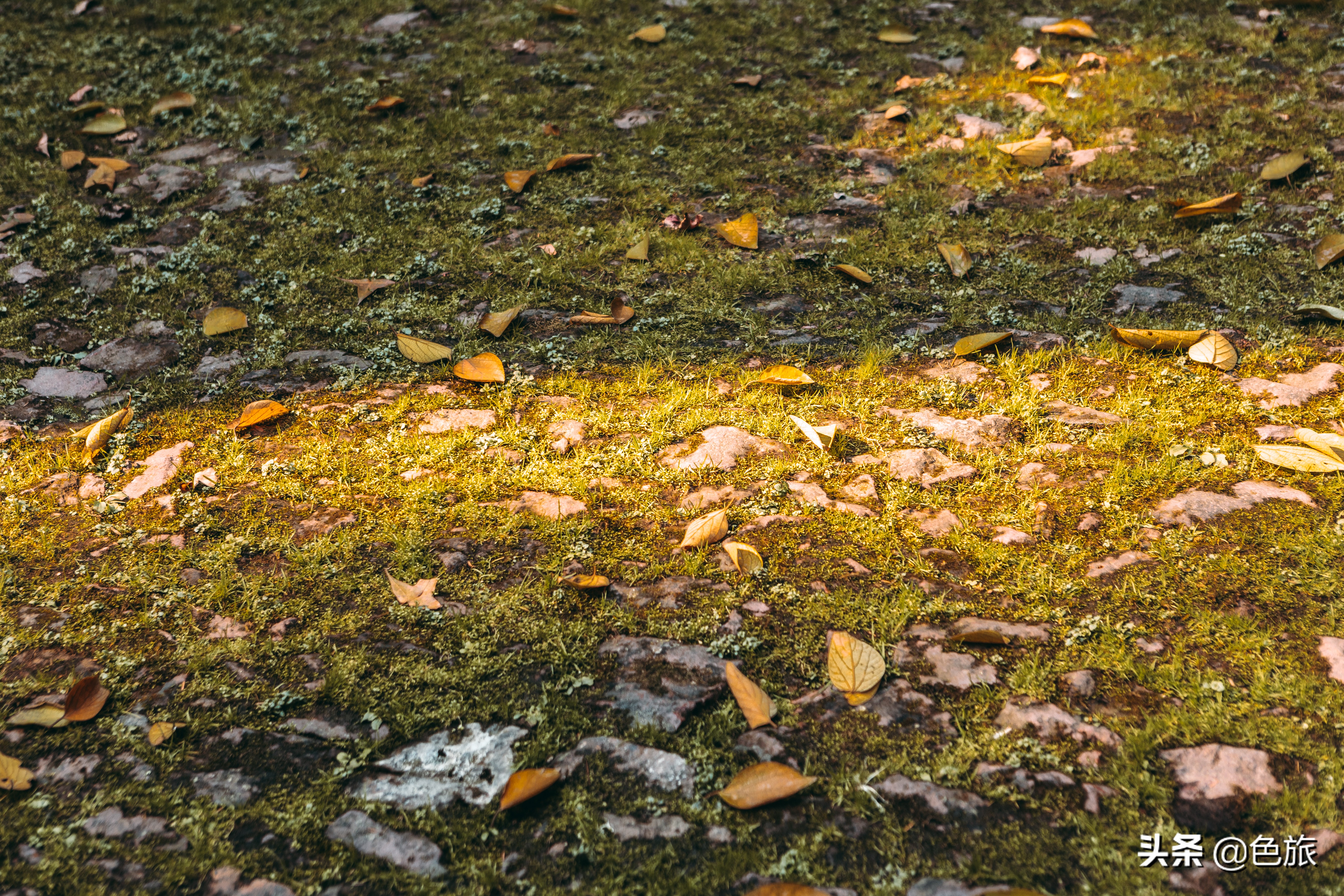 逆水寒游历虎跑梦泉怎么出葫芦,杭州游玩虎跑泉