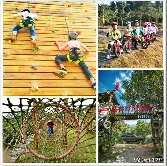 全家人一起欢欢喜喜过大年,所有人一起来拜年