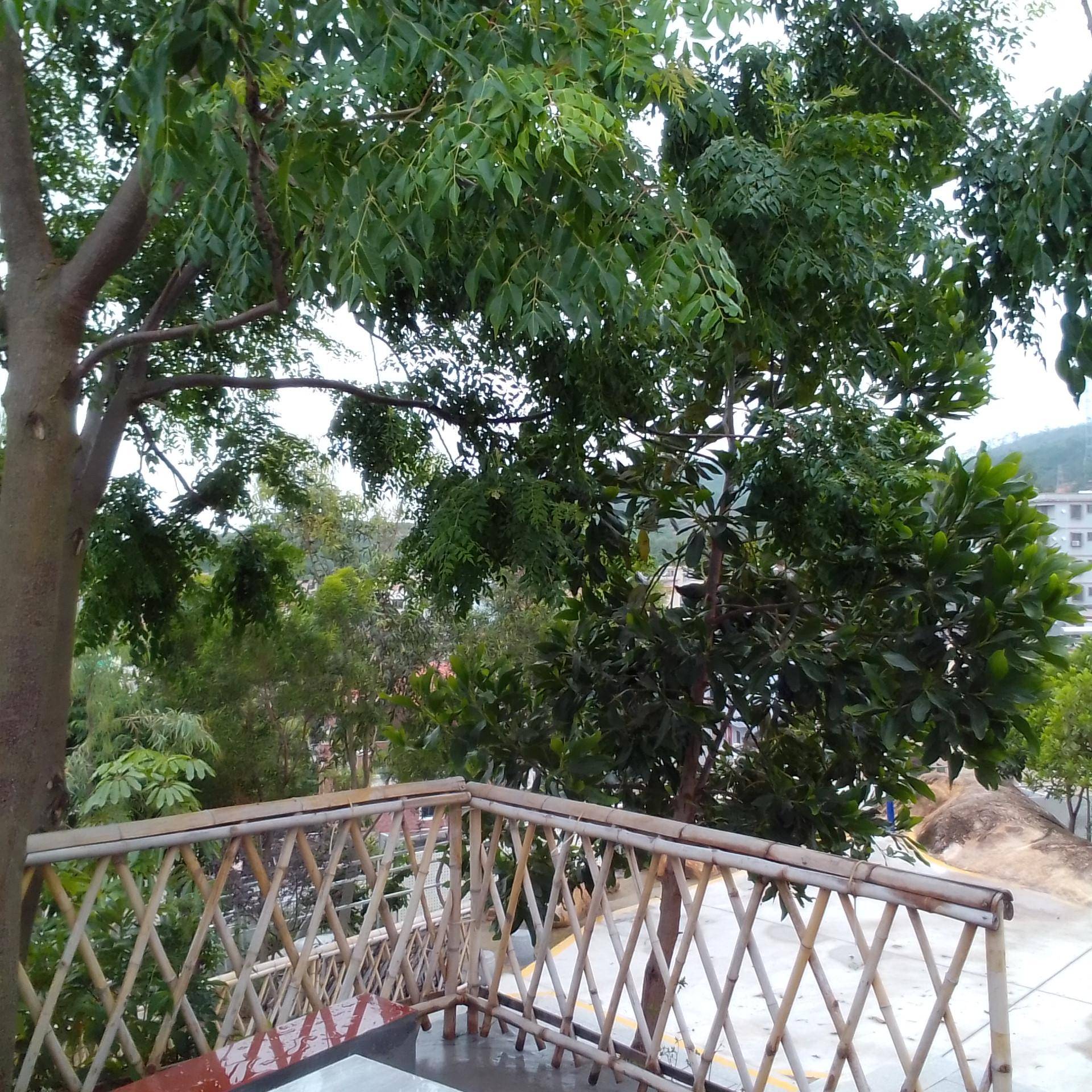 小寻ai学习手表y2进入设置,小寻ai学习手表y2拆机